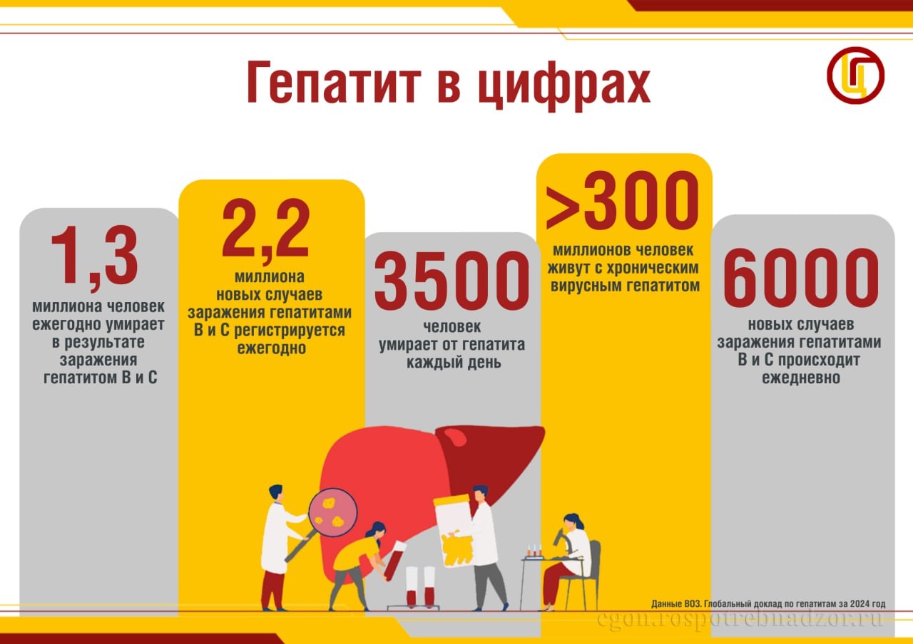 новость